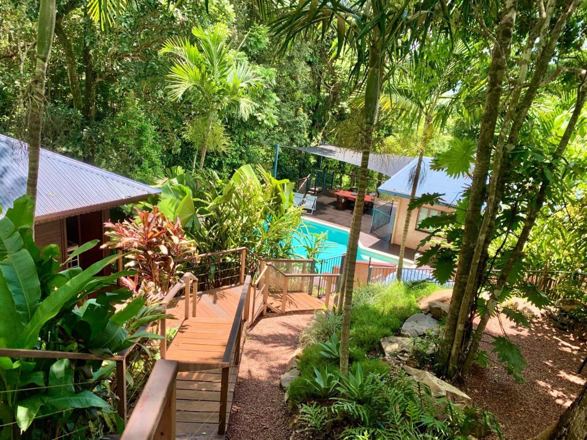 Cairns Rainforest Retreat Extérieur photo